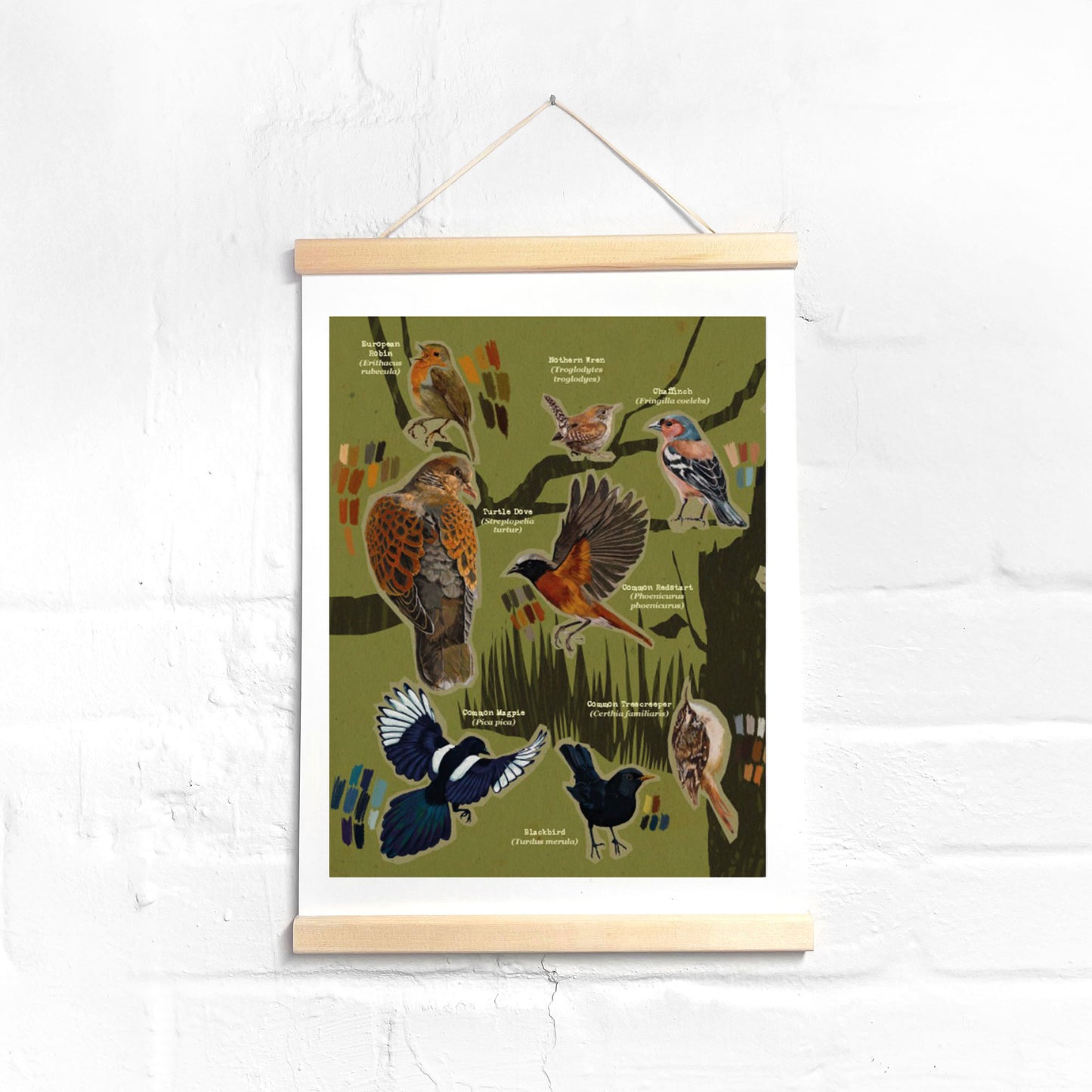 „Vögel von Rügen“ by Rin Dorokhina