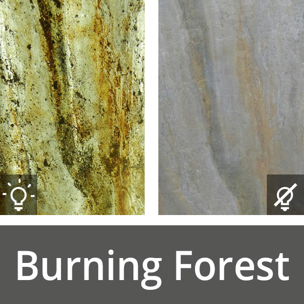Luma - Burning Forest