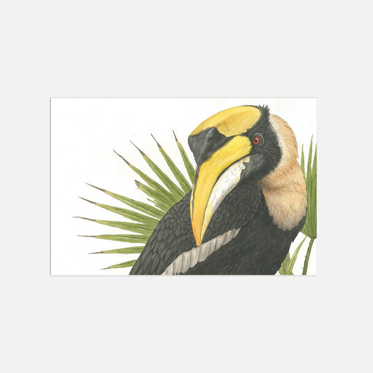 Hornvogel Illustration Poster