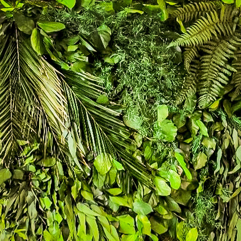 individuelle Naturwände - Dschungelwände