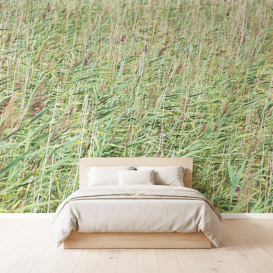 Hochgrass Feld Fototapete