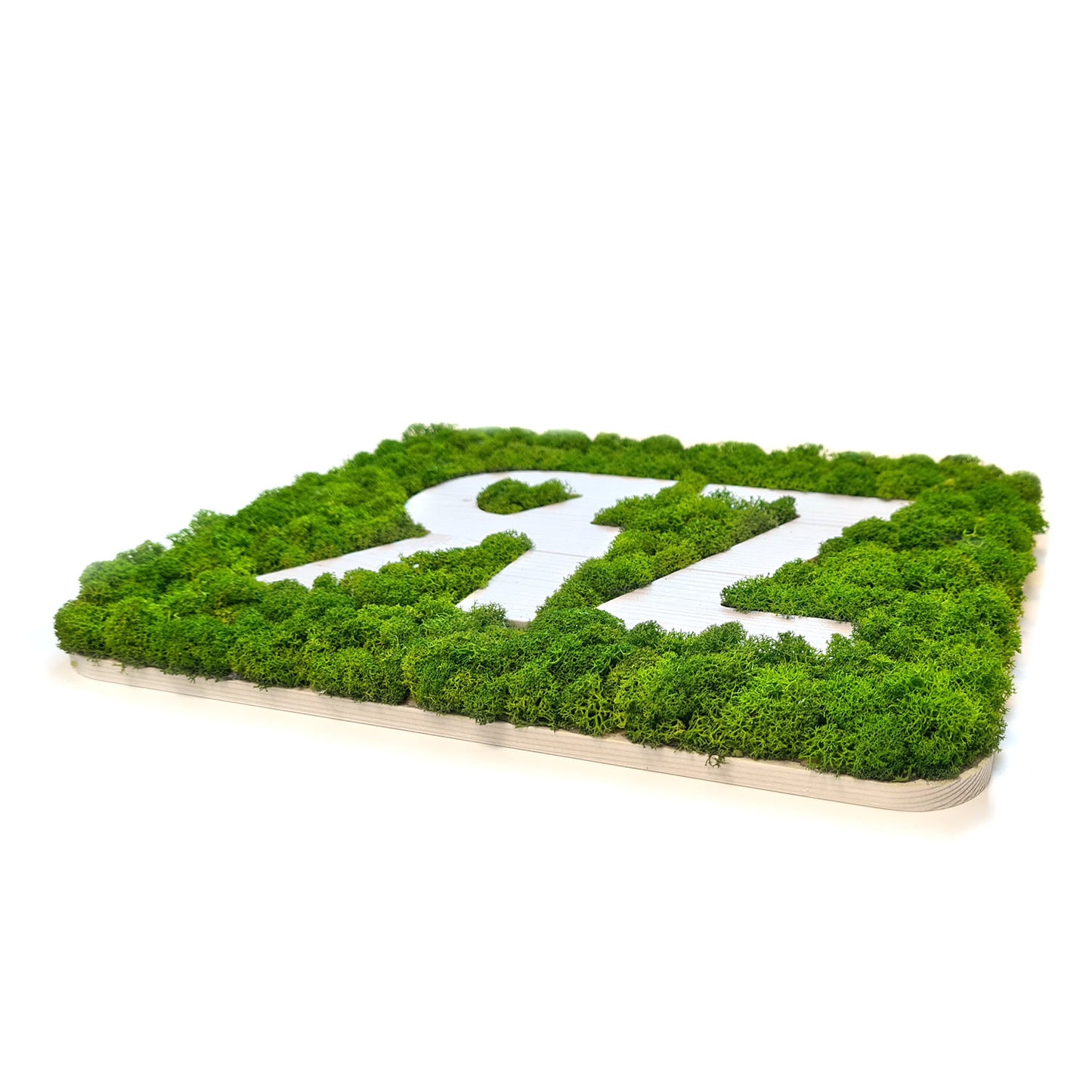 Moos Logos & Schriften - Islandmoos Logos / Schriften - Fichte - Negativ