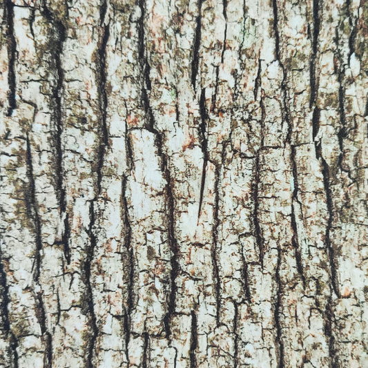 Form - It - Light Oak