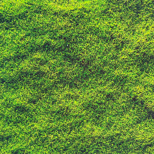 Form - It - Moss