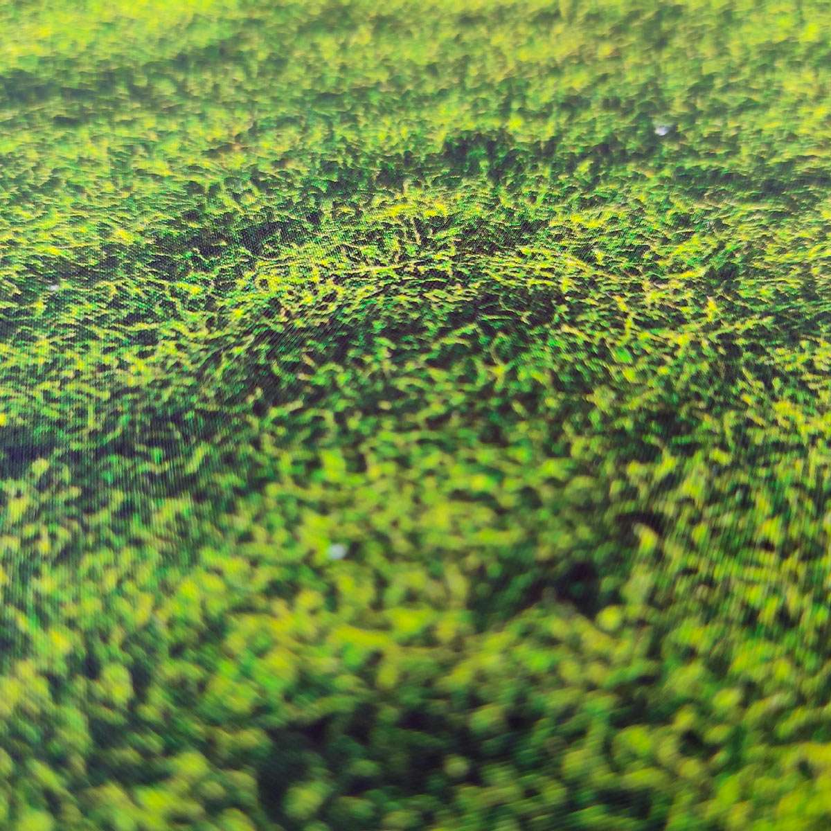 Form - It - Moss