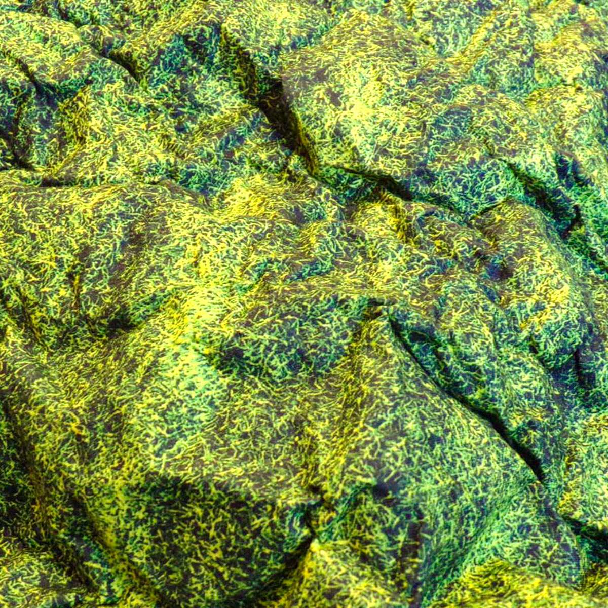 Form - It - Moss