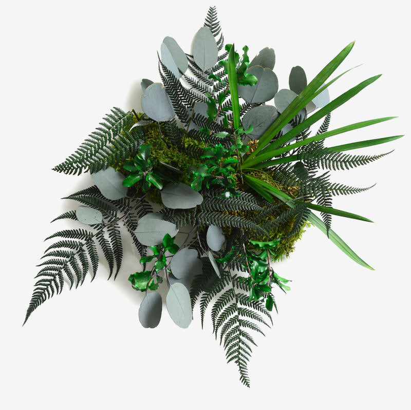 Moos - Matten Zubehör - Pflanzenelement