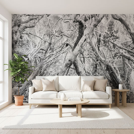 Wald Schwarz Weiß Fototapete