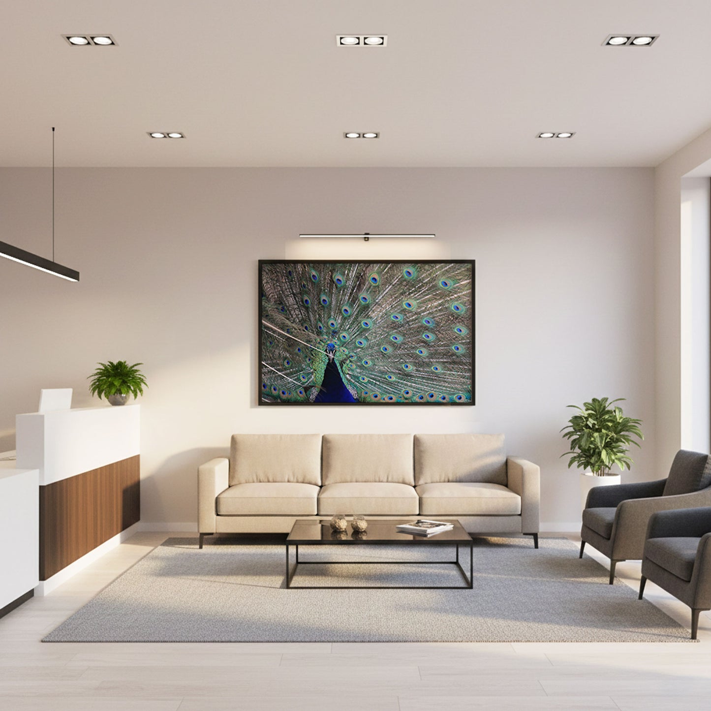 Poster Foto Pfau Vogel