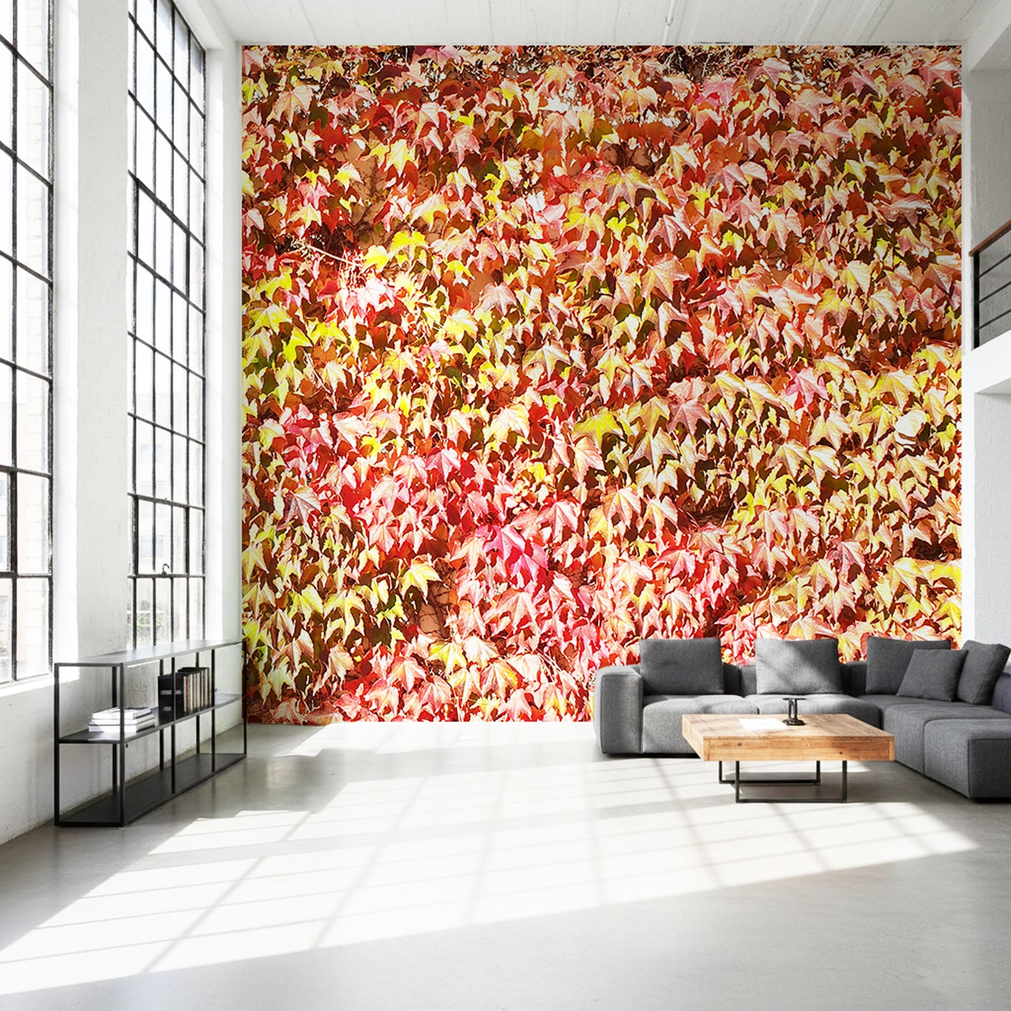 Herbst Farben Blätter Fototapete