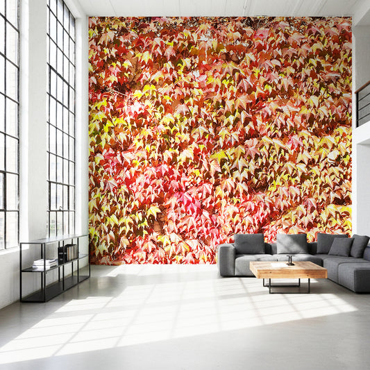 Herbst Farben Blätter Fototapete