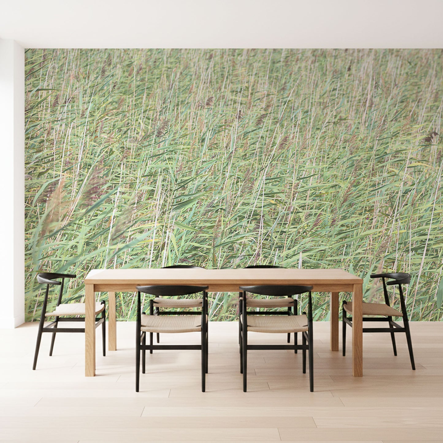 Hochgrass Feld Fototapete