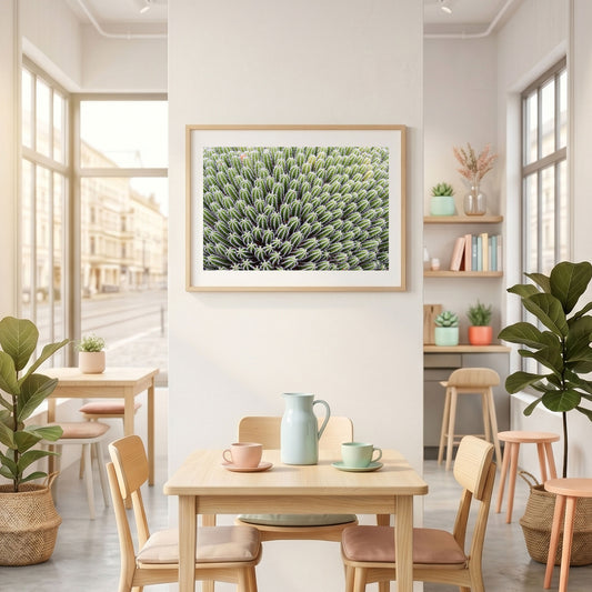 Poster Kakteen-Meer Fotografie
