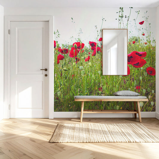 Mohnblumen Fototapete