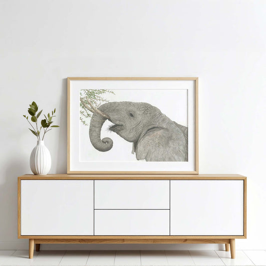 Elefant Illustration Poster