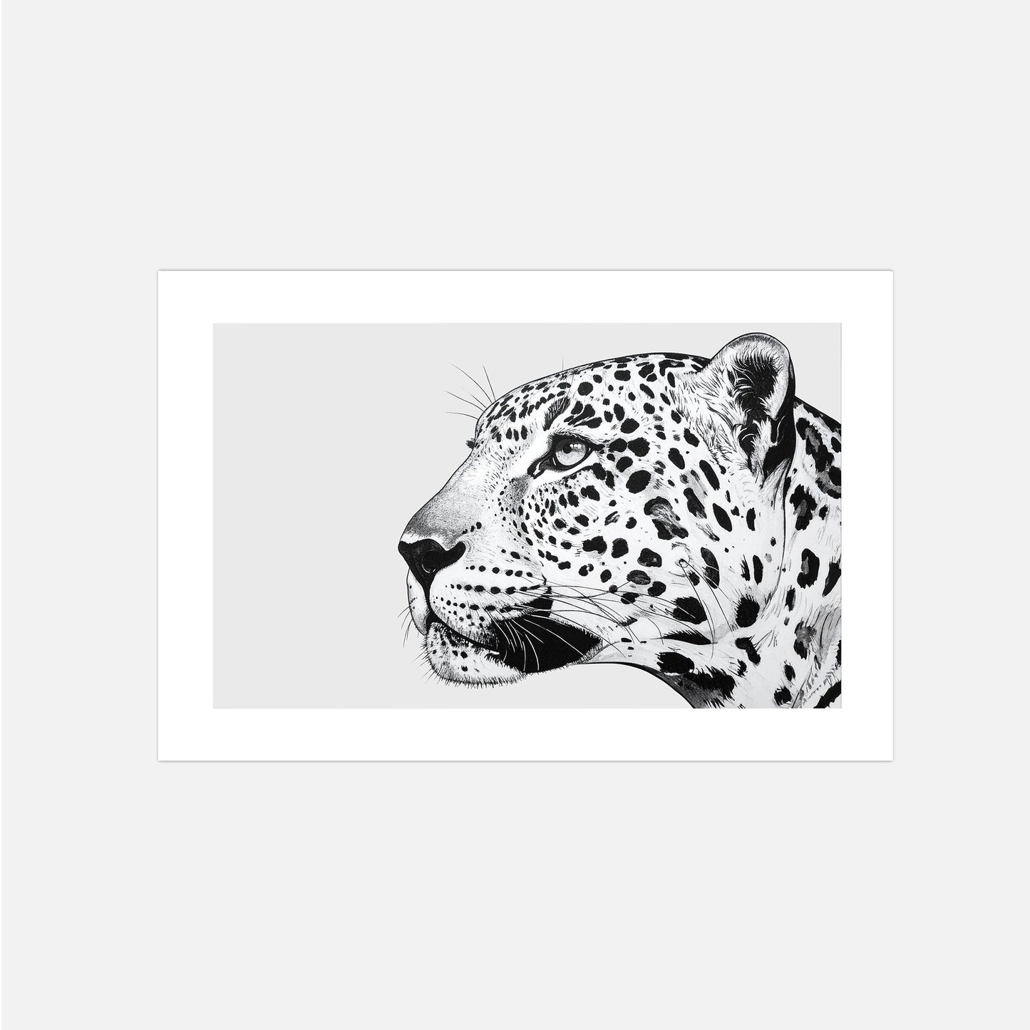 Poster Leopard Illustration