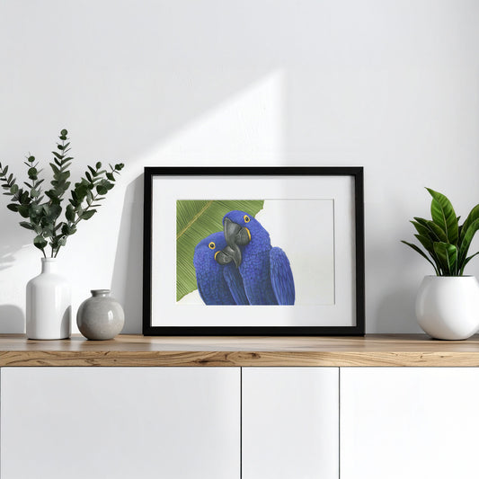 Papagaien Illustration Poster