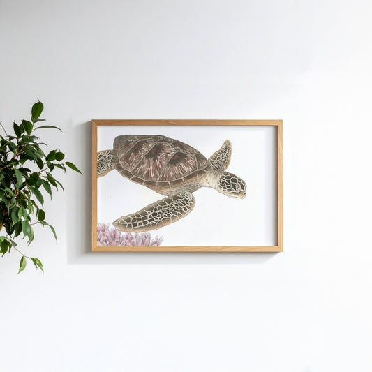 Schildkröte Illustration Poster