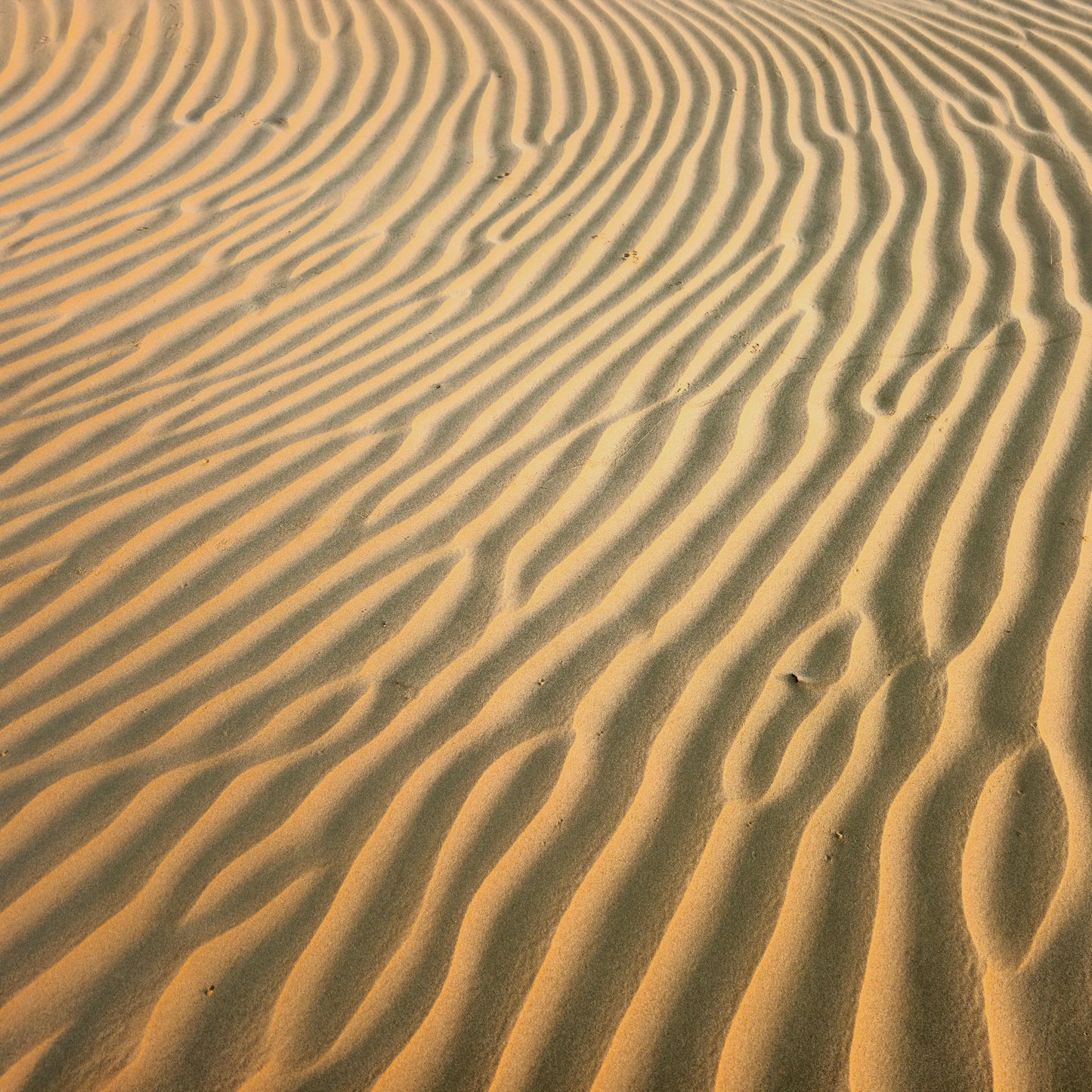 Sand Fototapete