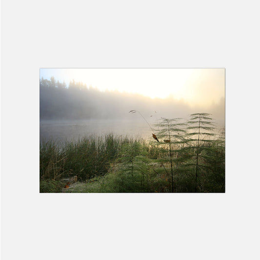 Sonnenaufgang auf dem See Foto Poster