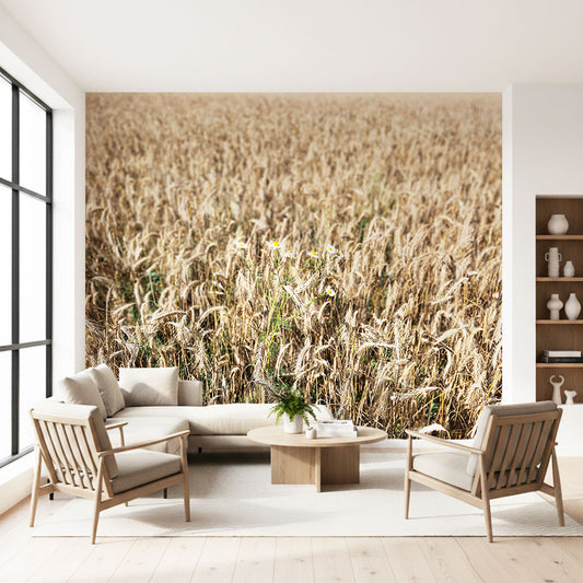 Weizenfeld Fototapete